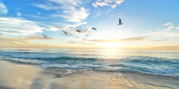 Manfaat Berlibur Ke Pantai Bagi Kesehatan