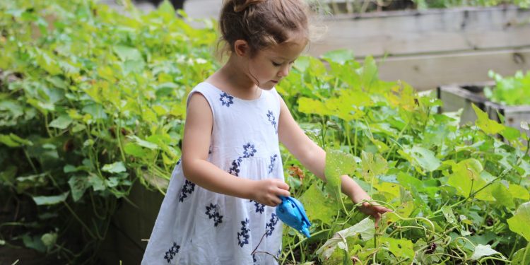 Manfaat Mengajak Anak Berkebun