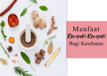 Manfaat Rempah-Rempah untuk Kesehatan