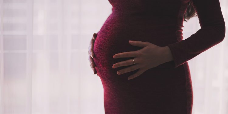 Sumber Makanan yang Mengandung zat Besi bagi Ibu Hamil