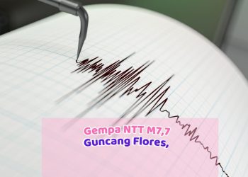 Gempa NTT M7,7 Guncang Flores, 53 Orang Meninggal dan Ratusan Warga Terdampak