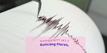 Gempa NTT M7,7 Guncang Flores, 53 Orang Meninggal dan Ratusan Warga Terdampak