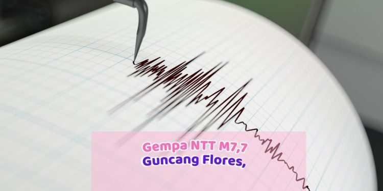 Gempa NTT M7,7 Guncang Flores, 53 Orang Meninggal dan Ratusan Warga Terdampak